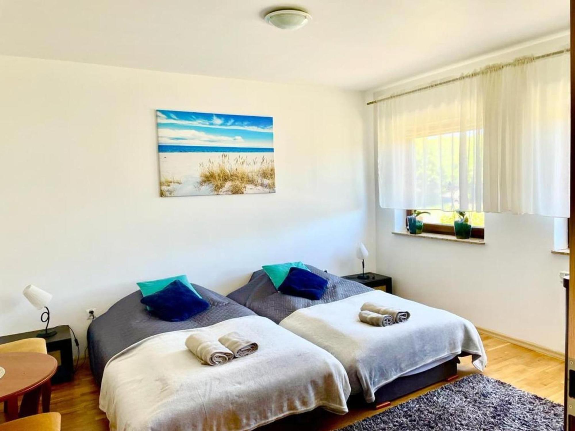 Holiday Spacious Modern Flat In Dabrowa Gostyniec Exterior foto